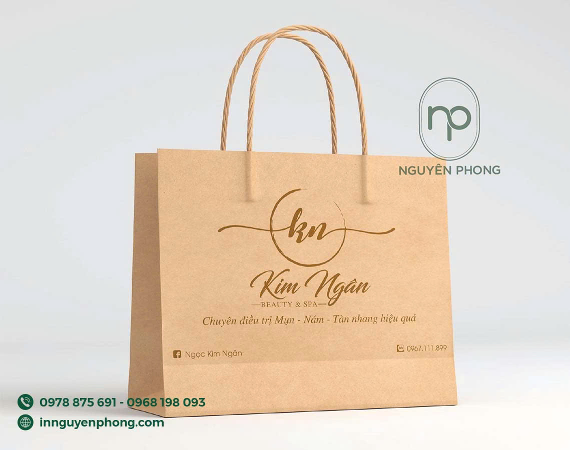 Mẫu túi giấy Kraft
